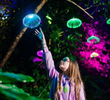 Little girl in Rainforest Biome looking up at Christmas lights